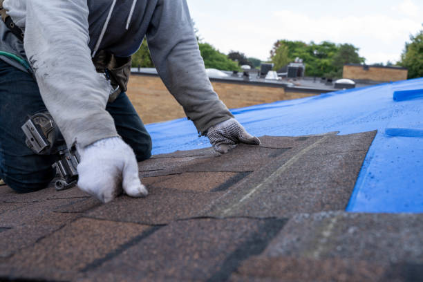 Best Sealant for Roof  in Wyldwood, TX